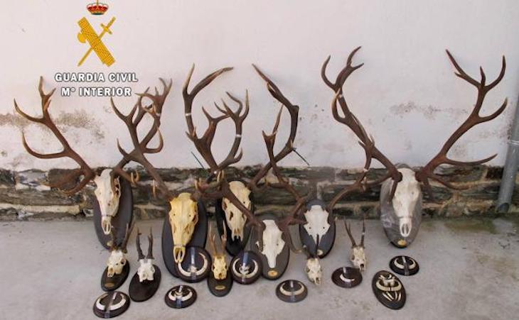 Ocho cazadores furtivos detenenidos en Villuercas-Ibores-Jara