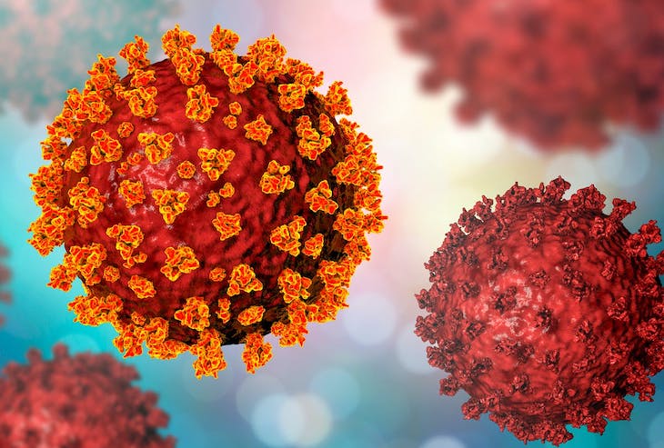 8M 2021. Ecofeminismo para afrontar el COVID-19