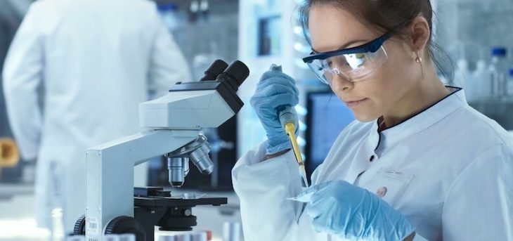 España financia la investigación de carne cultivada