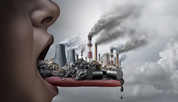 Intoxicación por plomo