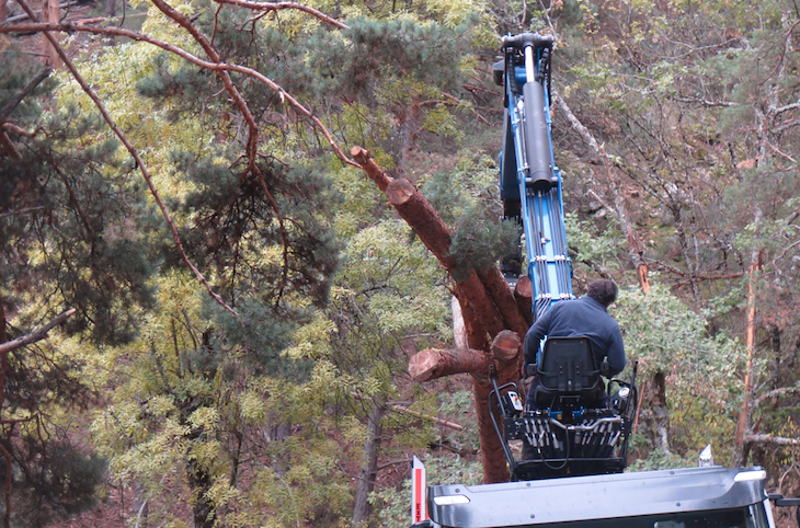 AVEBIOM y FBYCC buscan que el Estado sustituya los combustibles fósiles en sus edificios por biomasa