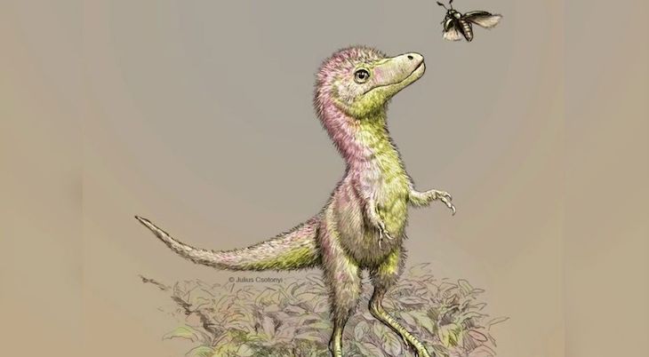 Las crías de tiranosaurio salían del huevo con el tamaño de un perro
