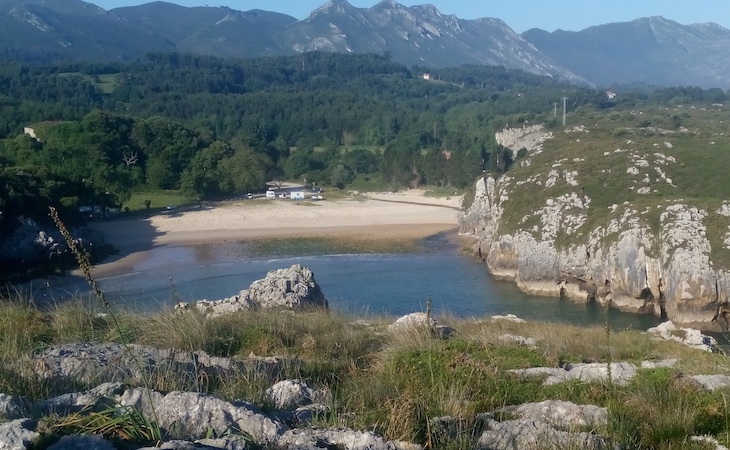 Asturias. No se puede permitir plantar eucalipto en Cuevas del Mar en Llanes