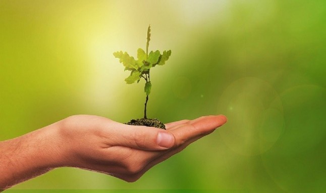 Asturias no ve claros los objetivos medioambientales del Gobierno de España