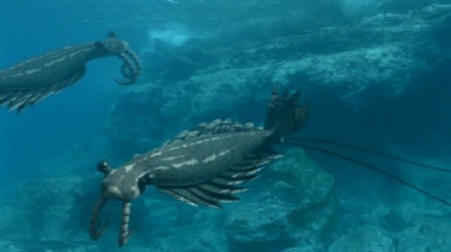 Los primeros animales de la Tierra formaron complejas comunidades ecológicas