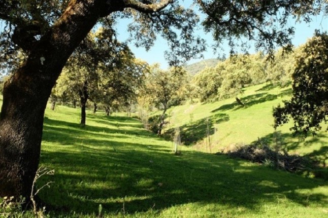 Lluvia de millones para la conservación del medio natural andaluz