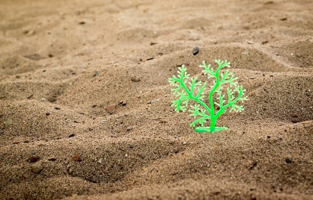 Bioplásticos en ‘cuarentena’