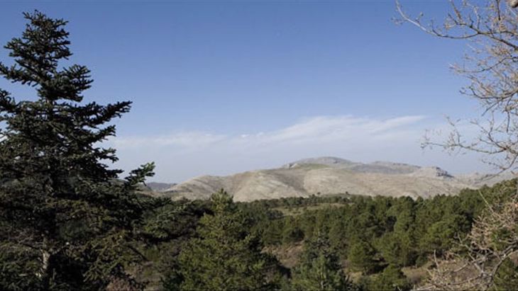 Primer paso para declarar el Parque Nacional de las Nieves (Málaga)