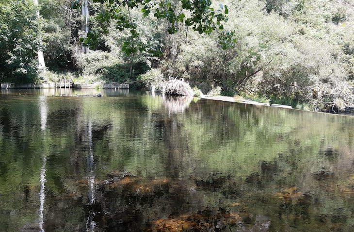 Asturias. No queremos más mini centrales en el río Esva
