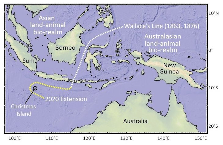 La isla Christmas obliga a cambiar el mapa de las especies
