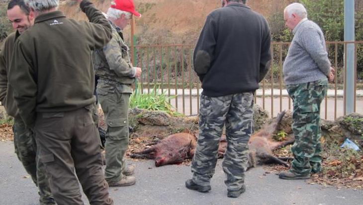 La Benemérita cierra su campaña en Córdoba con tres ‘delincuentes’ imputados por furtivismo