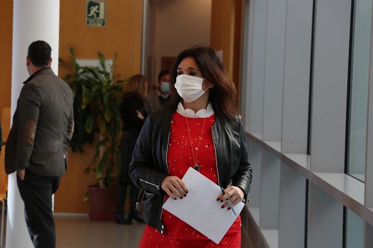 Diputación de Málaga ‘apuesta decididamente’ por la Revolución Verde para 2021