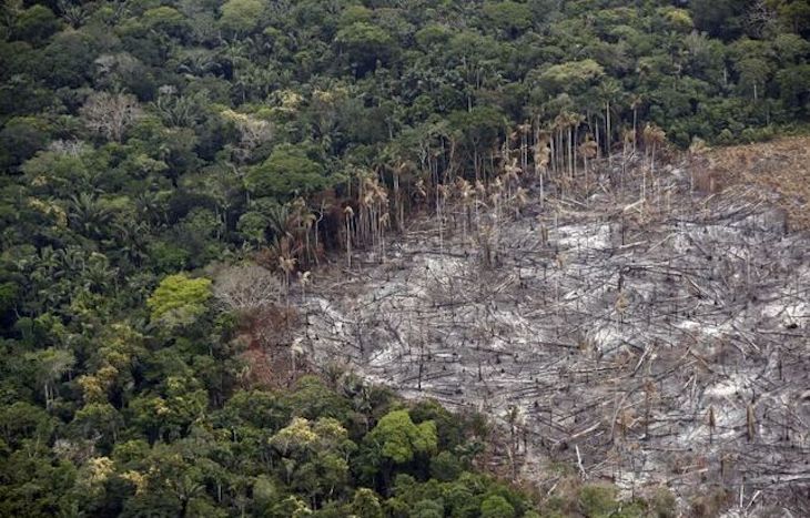Informe sobre la relación directa entre la destrucción de la naturaleza