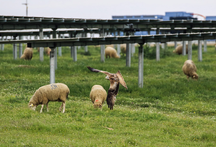 UNEF en el Congreso Nacional del Medio Ambiente