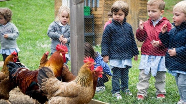 Con ocho años los más pequeños ya comprenden la relación entre animales y plantas