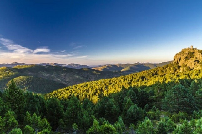El Parque Natural Sierra de Cebollera ofrece este sábado un paseo guiado por Los altos bosques del Iregua