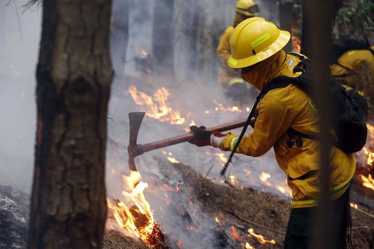 El combate a incendios forestales en México no se detendrá durante emergencia sanitaria