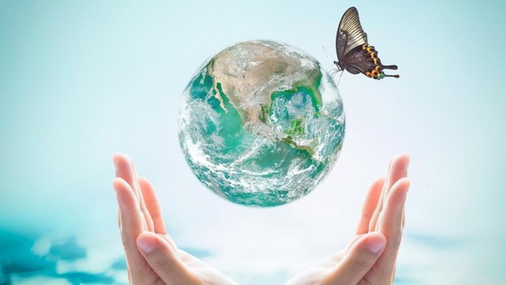 Cada hora tres especies desaparecen del Planeta