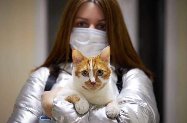 Por ahora es una ‘temeridad’ afirmar que los animales infectan del COVID-19 al ser humano