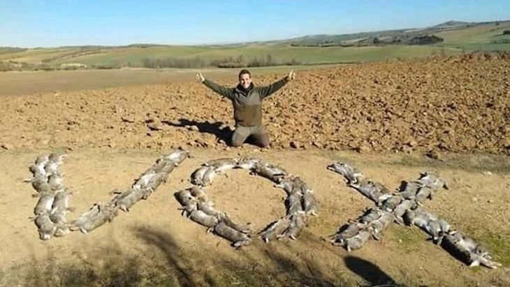 El Gobierno ‘retrata’ a VOX con la imagen del cazador que dibujó este partido con conejos muertos