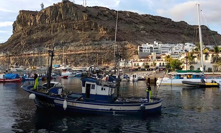 La ‘Ley de Pesca Sostenible’ genera dudas entre las ONG