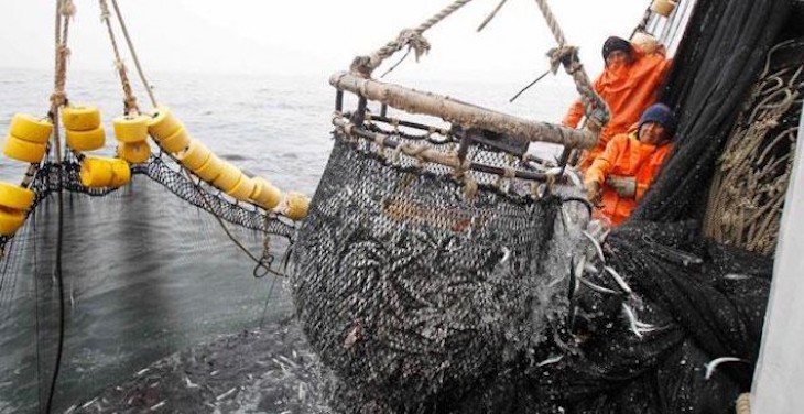 La sobrepesca que esconde Europa