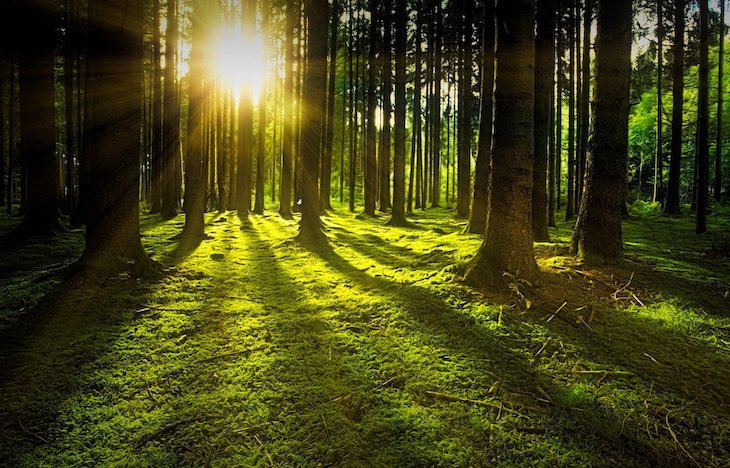 Restaurar 1.000 millones de hectáreas de tierras degradadas es posible