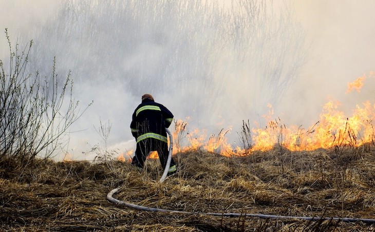 Más de 18.000 hectáreas han ardido en 2020