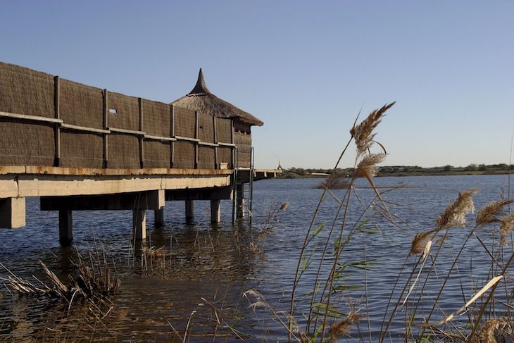 Cepsa con el ‘Día Mundial del Medio Ambiente’
