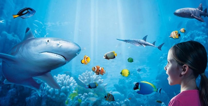 Oceanografía para ‘niños’ durante el confinamiento