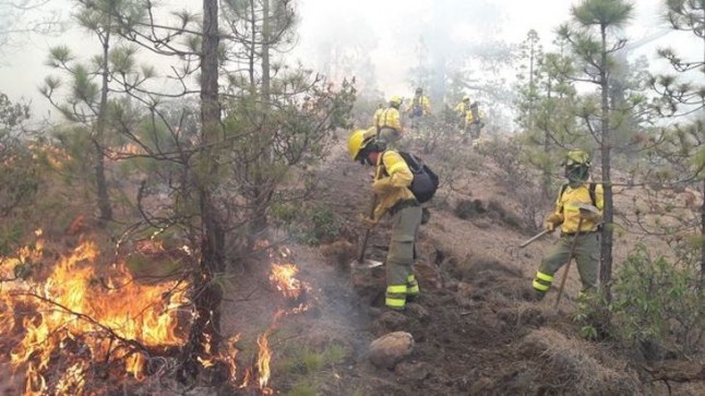 El Síndic del País Valencià pide a las administraciones información sobre los planes locales de prevención de incendios forestal