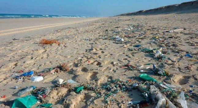Libera aborda la segunda edición de la campaña "1m2 por las playas y los mares"