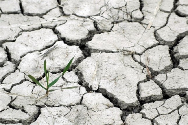 El cambio climático también afecta a la productividad