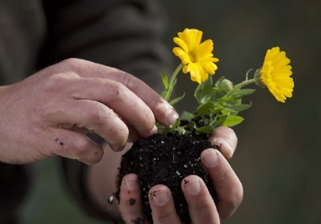 Sogama entrega al ayuntamiento de Vedra 30 nuevos compostadores domésticos