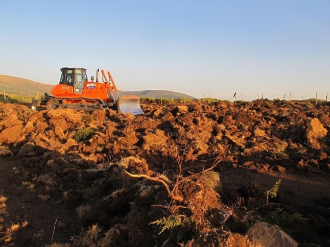 El Tribunal de Justicia de Castilla y León ordena la restauración del monte de Sigueruelo