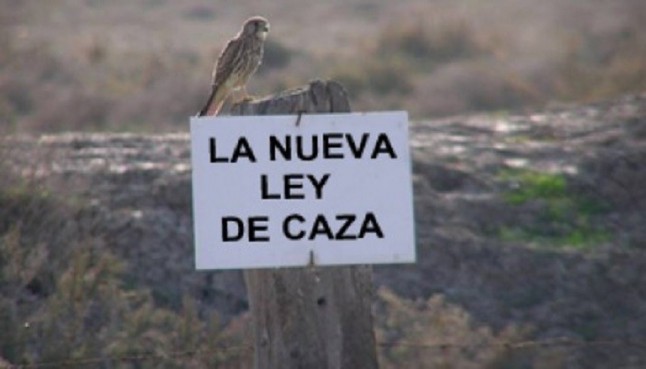 Reforma de la Ley de caza en Asturias