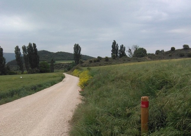 El Ministerio de Agricultura