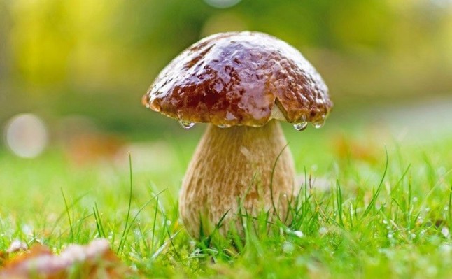 Todo lo que debes saber