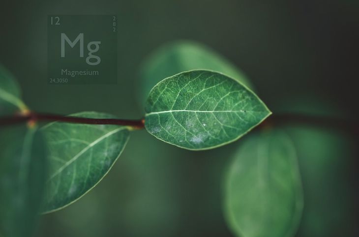 Se confirma con datos robustos que cada especie tiene una identidad atómica única