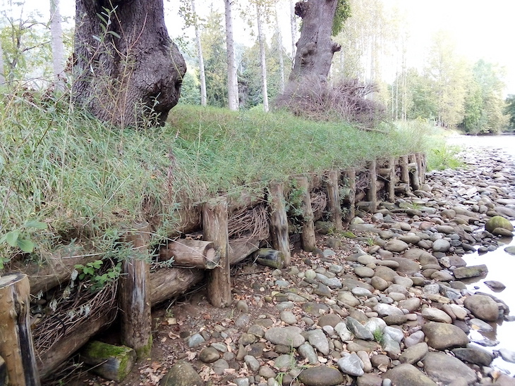Navarra. Medio Ambiente aportará fondos a entidades locales para la recuperación del entorno fluvial