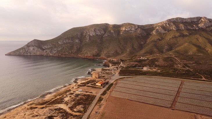 ANSE presenta recurso judicial por el retracto de Cabo Cope