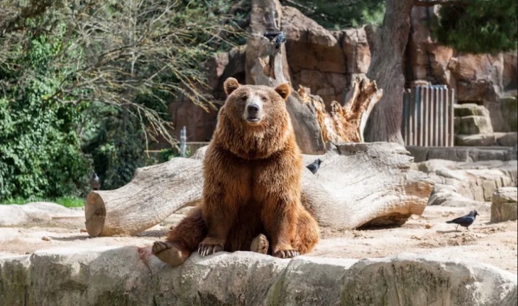 Qué está pasando en el ‘Zoo de Almuñécar’
