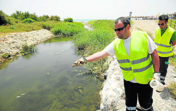 Controlando los mosquitos con larvicida biológico en el paraje del Guadalhorce (Málaga) y su entorno