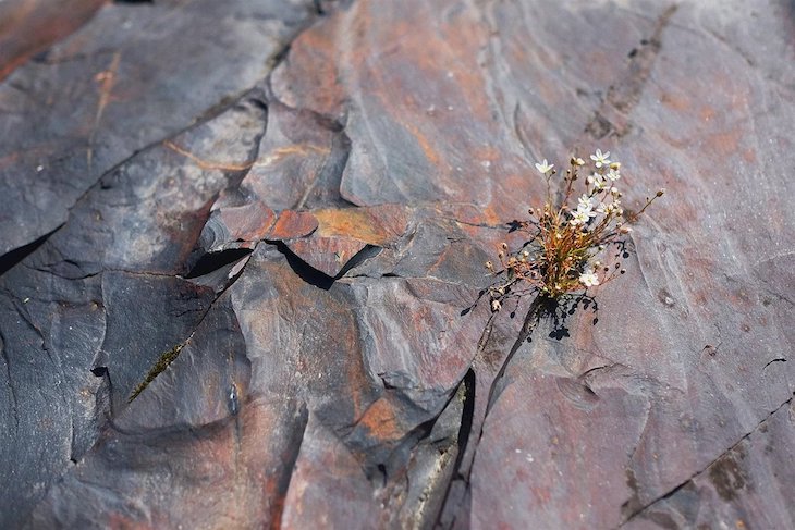 Una roca desafía la teoría de la escasez de oxígeno en la Tierra primitiva