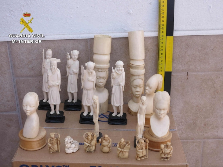 La ‘BENEMERITA’ intervienen más de 300 piezas de marfil en una operación contra el tráfico ilegal en España y Portugal