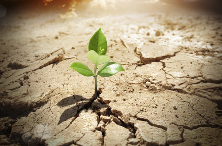 CO2. Demanda contra el Gobierno de España por falta de acción climática