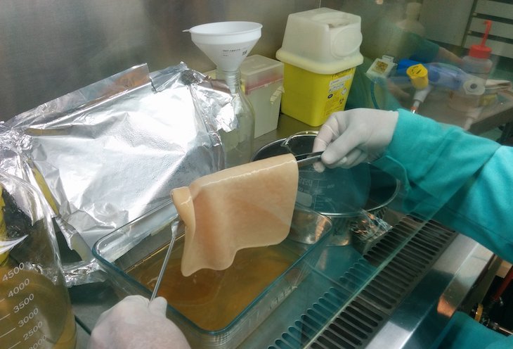 Residuos y reciclaje. El CTCR ‘excelencia’ en Biotecnología