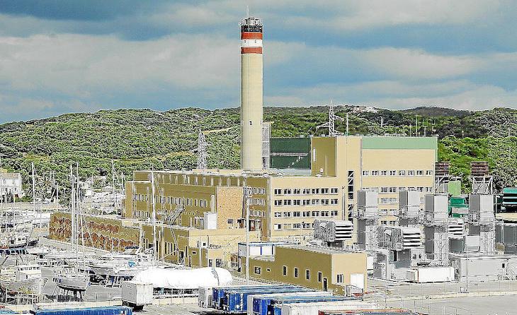 Endesa quiere reconvertir la central de Mahón para producir biocombustibles