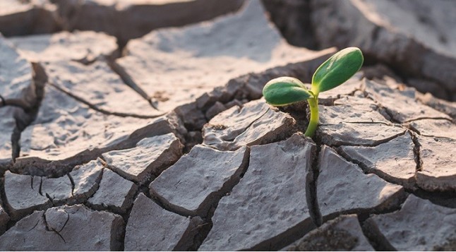 El Plan Estratégico de la Provincia de Huelva impulsa la lucha contra el cambio climático