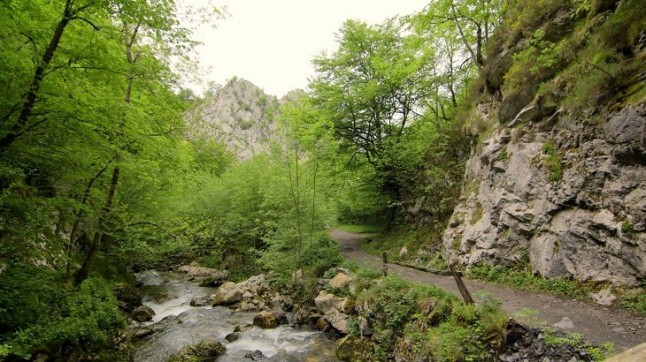 El enorme desprestigio de la gestión de las Reservas de la Biosfera de Asturias